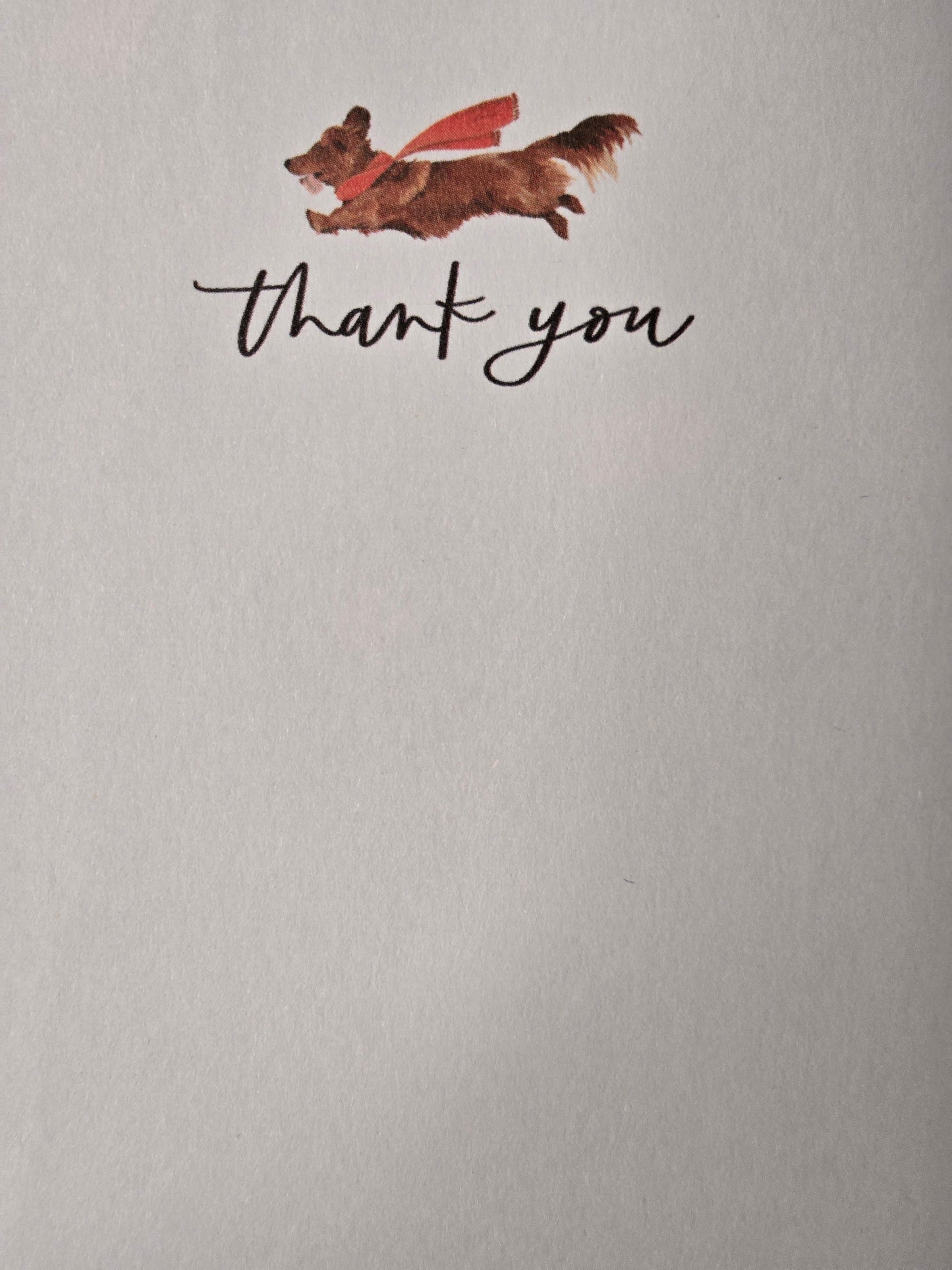 Holiday Thank You Note Set