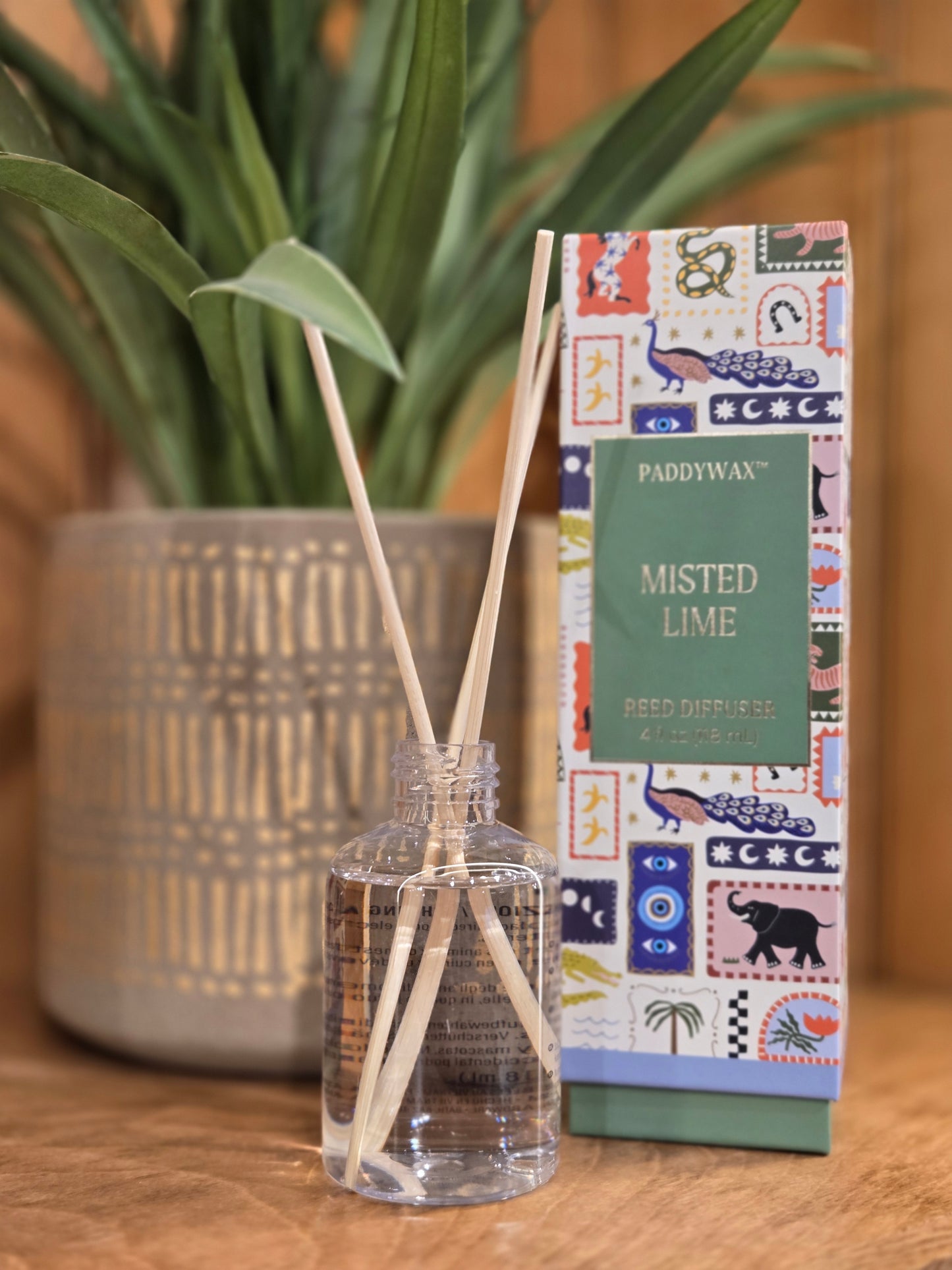 A Dopo Diffuser - Misted Lime