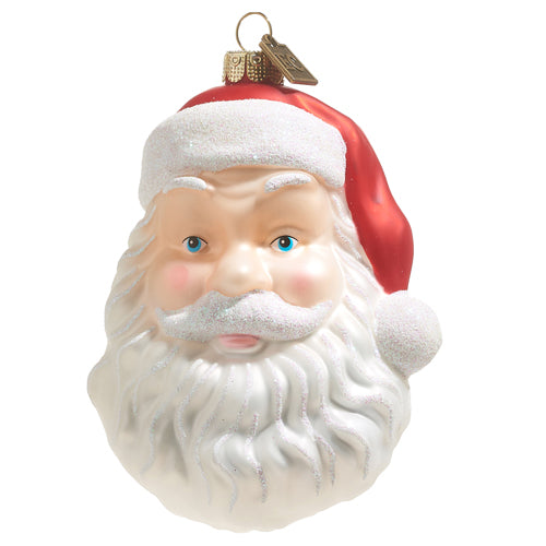 Santa Holiday Ornament