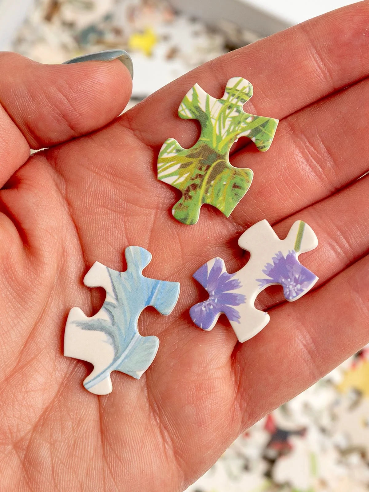 Feathered Friends Jigsaw Puzzle