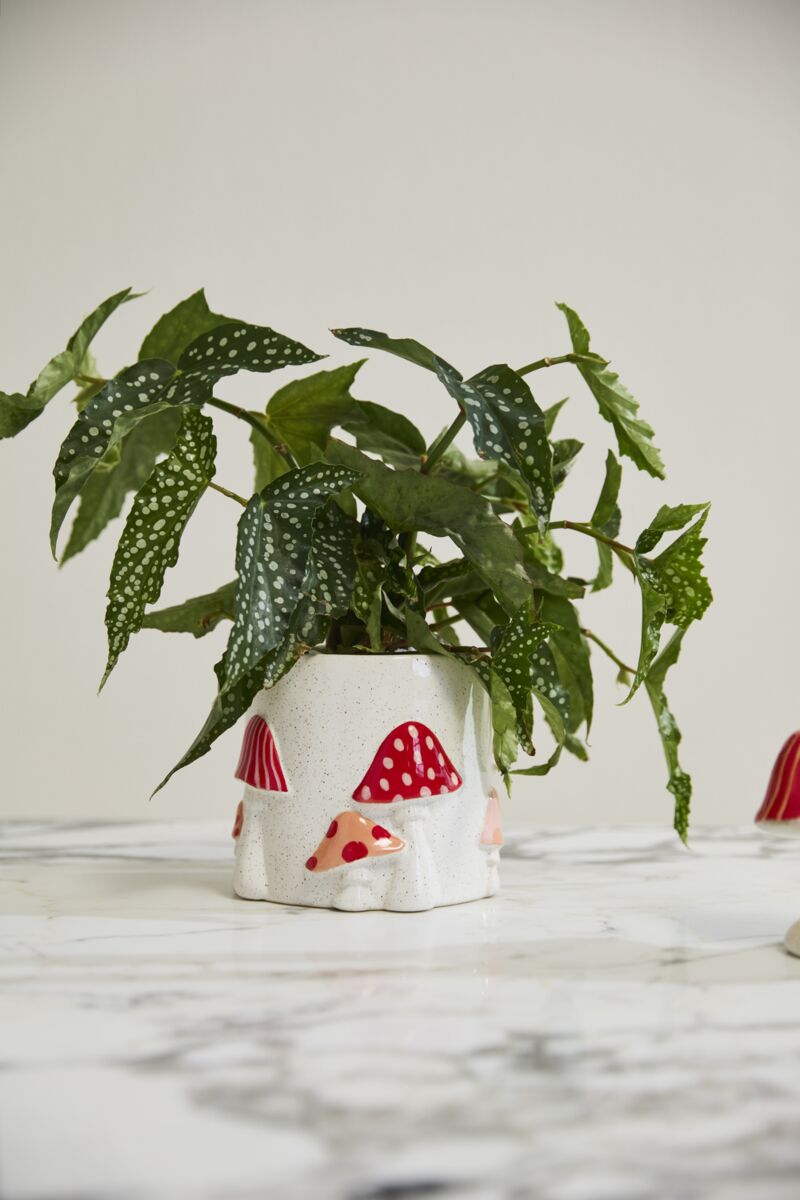 Cheerful Mushroom Planter