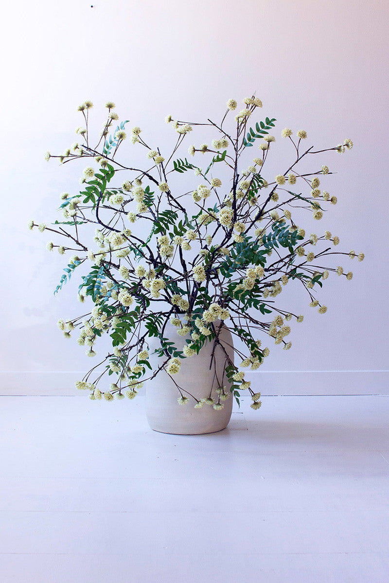 Botanica Stems With White Button Flowers