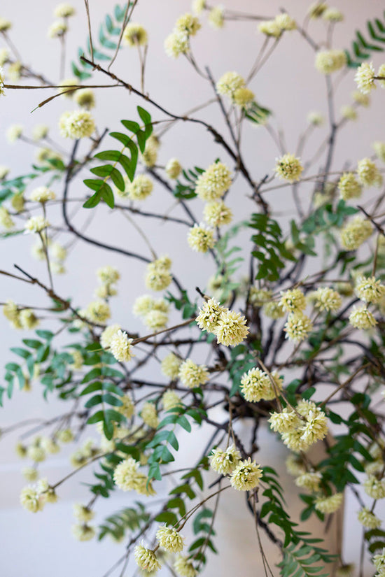 Botanica Stems With White Button Flowers