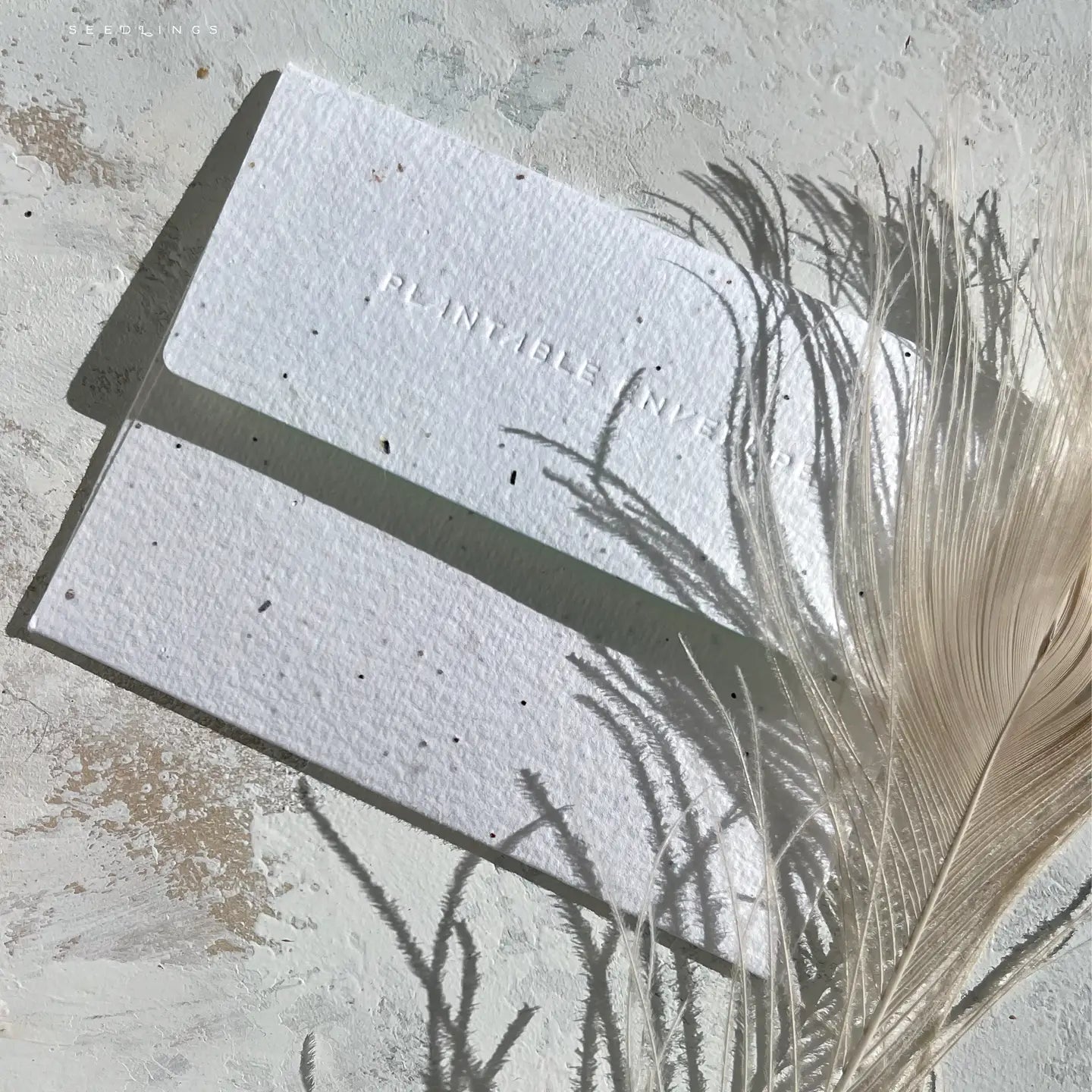 Forever Friends Greeting Card