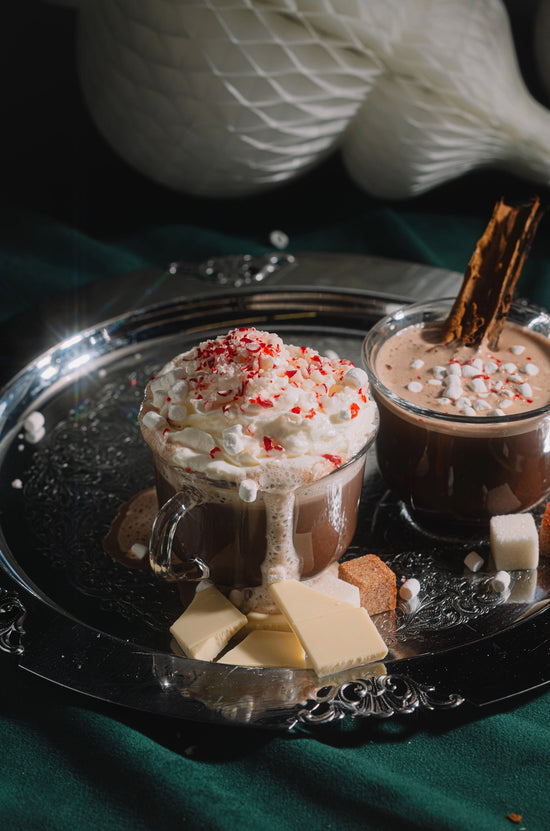 Hot Cocoa Mixer Cubes with Shimmer Marshmallow Rimmer