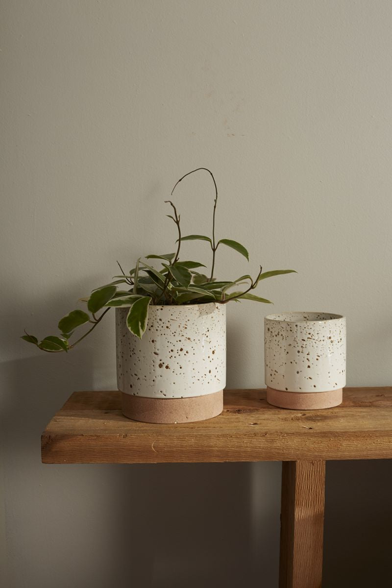 Briar Plant Pot - 5 1/4 Inch