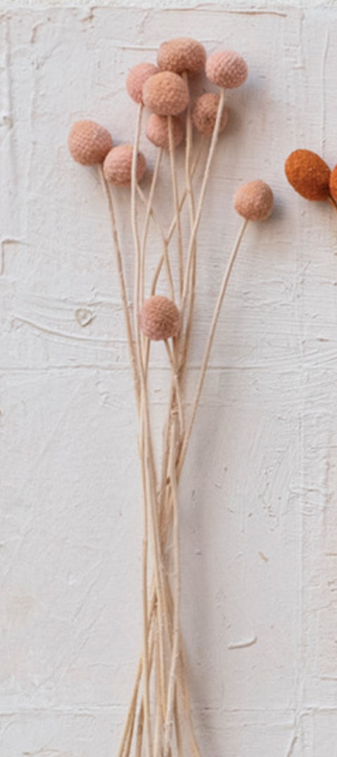 Load image into Gallery viewer, Dried Natural Craspedia Bunch - Pink
