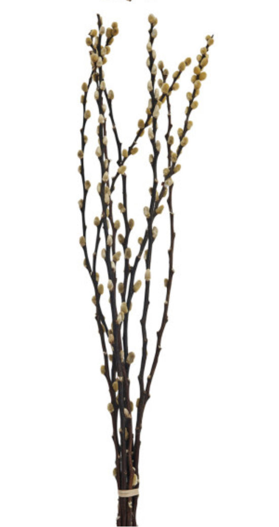 Dried Pussy Willow Bunch - Yellow