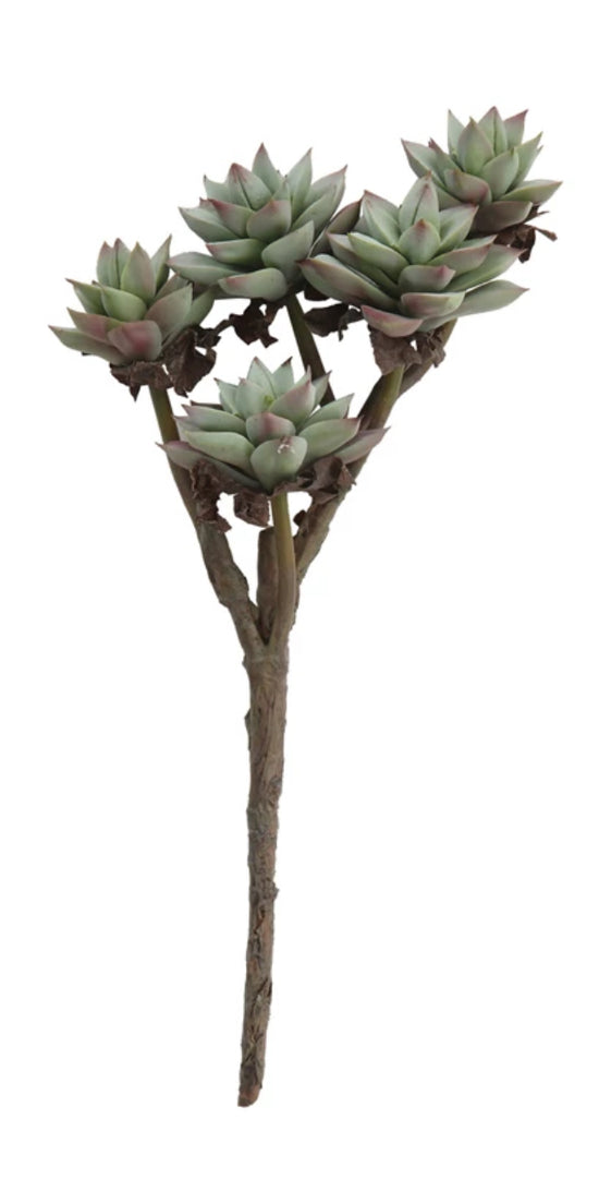 Faux Succulent Branch - 5 Blooms