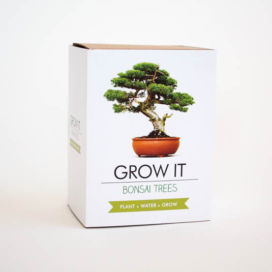 Grow Your Own Bonsai Plant