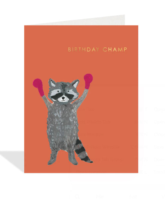 Boxing Racoon Birthday Card
