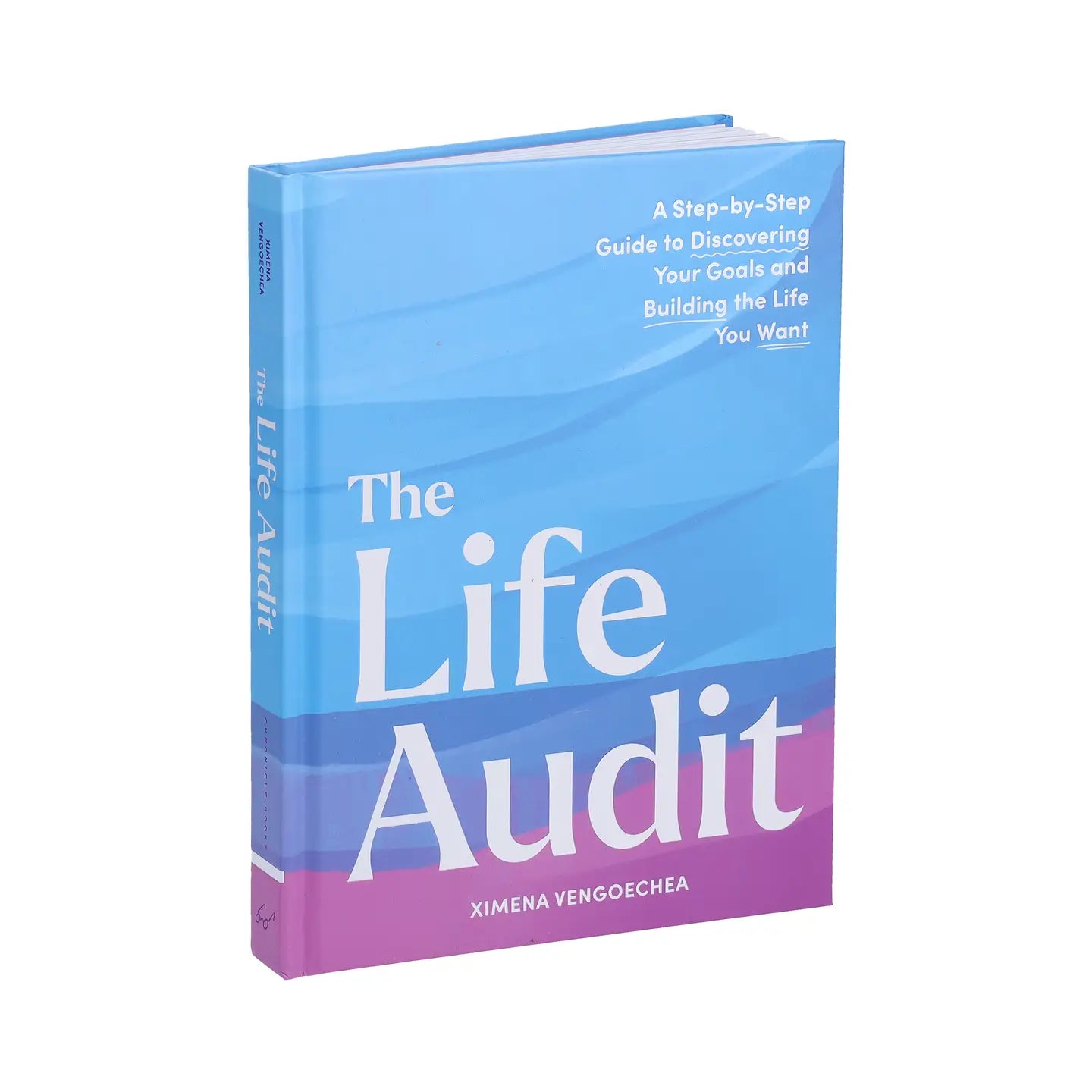 Life Audit Book