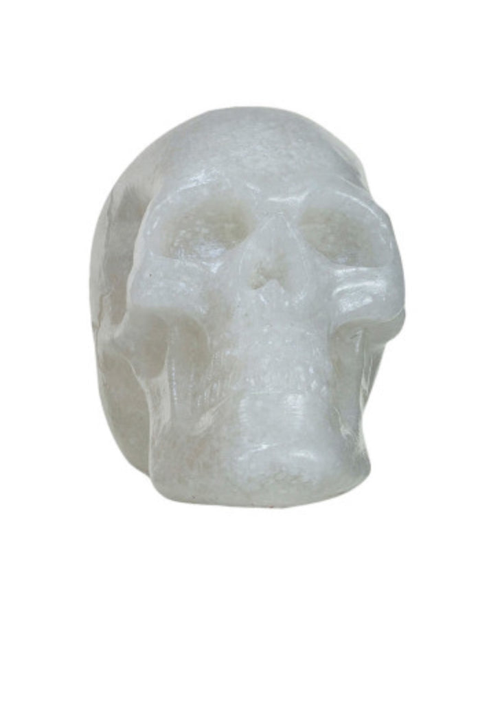 Resin Skull - White