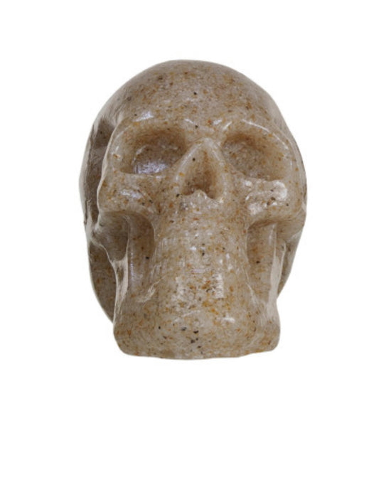 Resin Skull - Tan