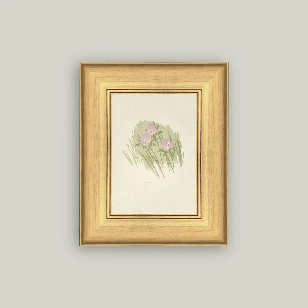 Clover Framed Antique Art Print
