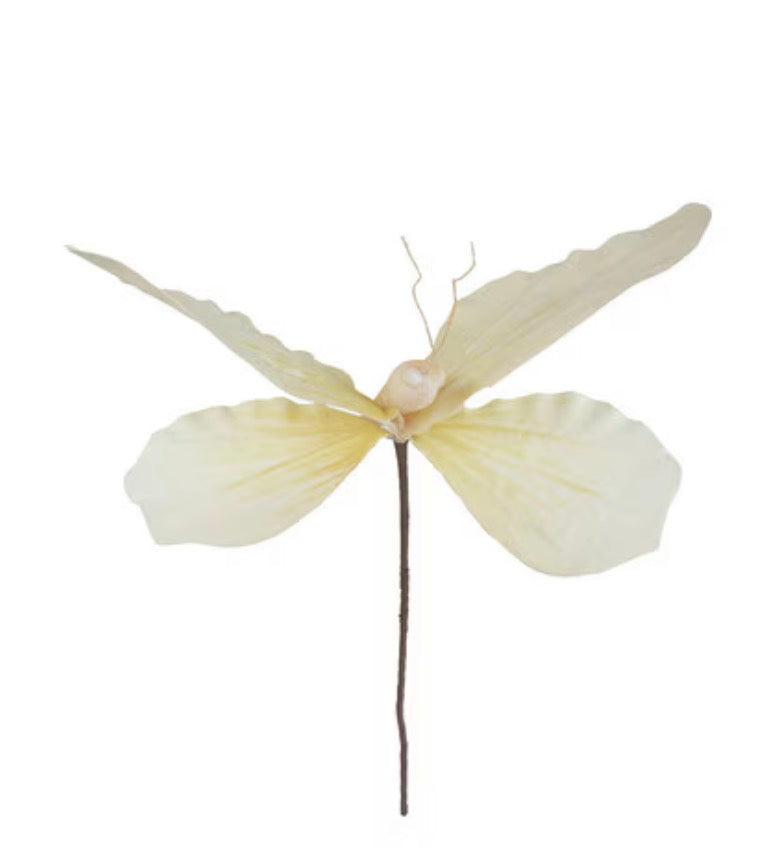 Large Botanical Butterfly - White