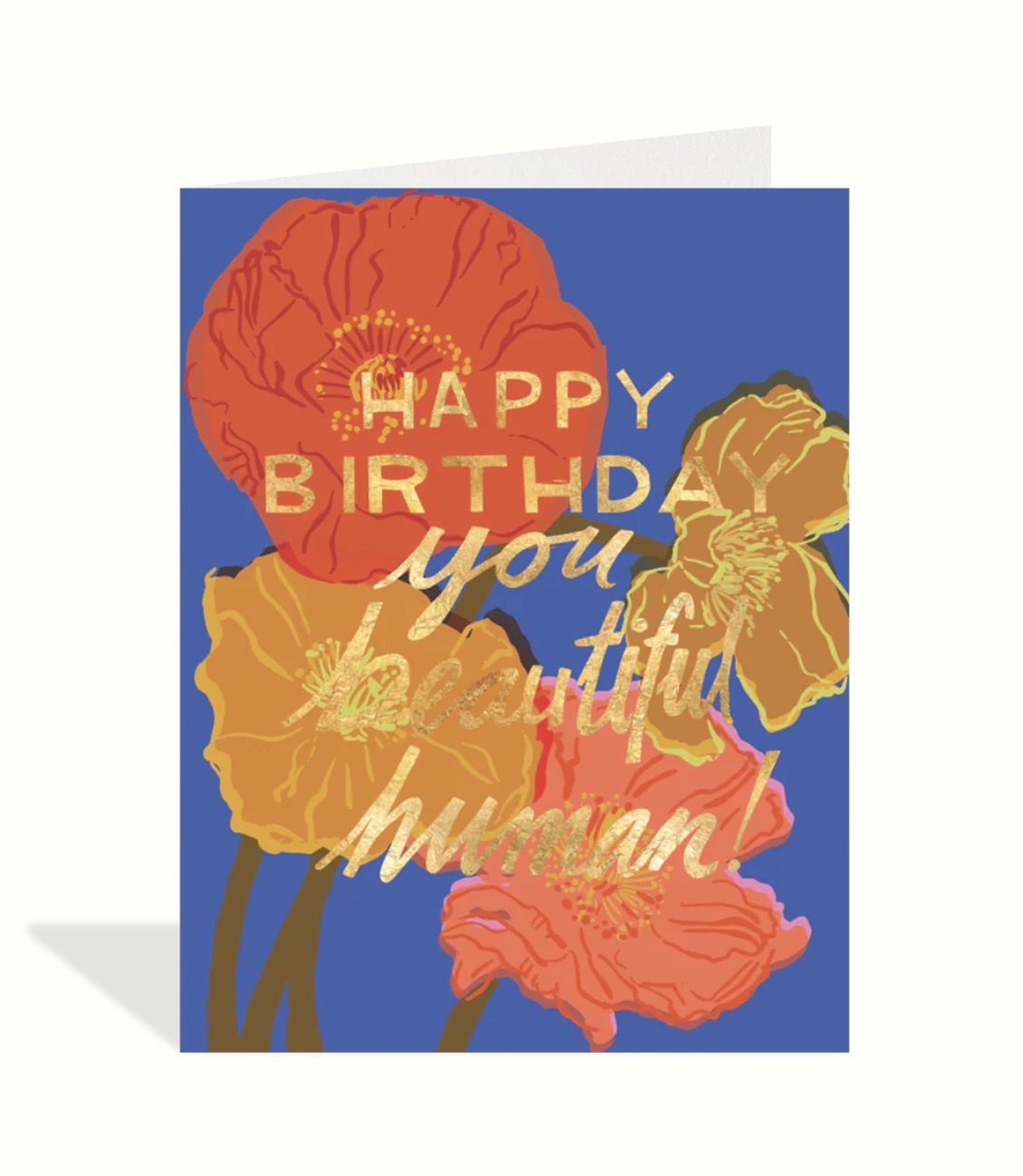 Beautiful Human Birthday Greeting Card