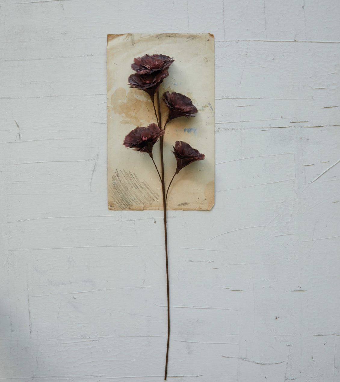 Feather Flower Stem - Burgundy