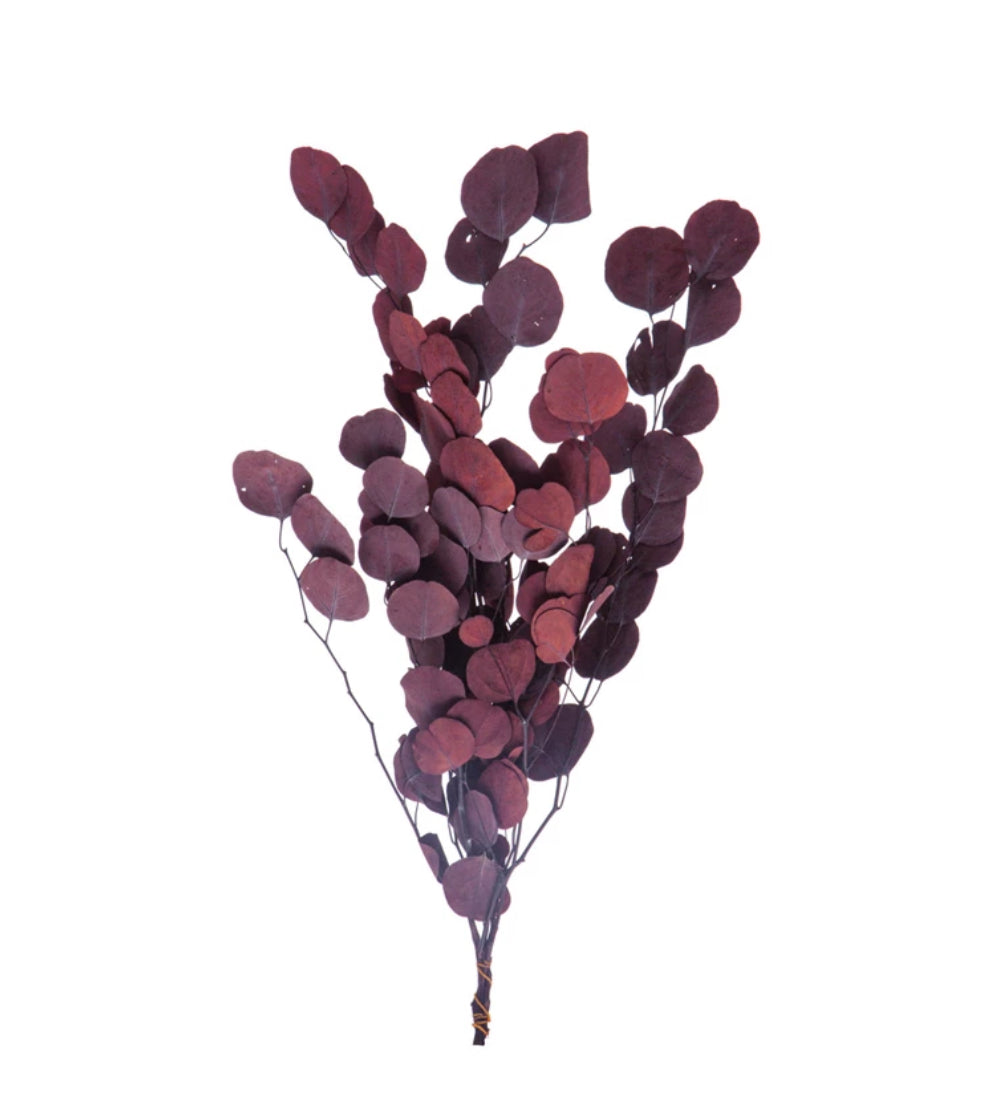 Dried Natural Eucalyptus Bunch - Aubergine