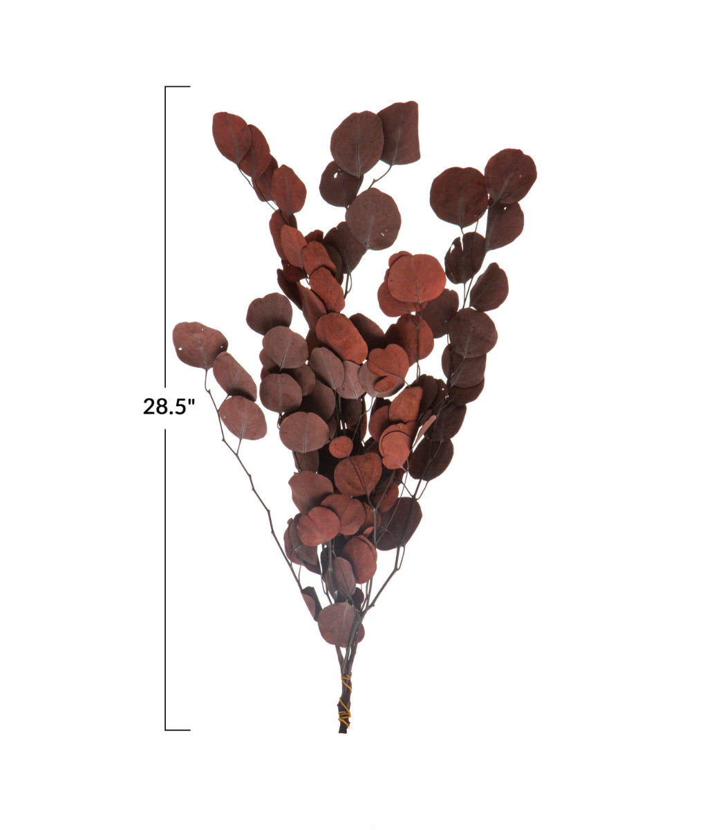 Dried Natural Eucalyptus Bunch - Aubergine