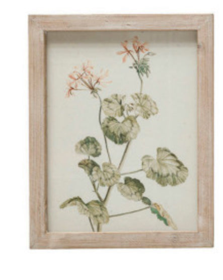 Framed Geranium Print