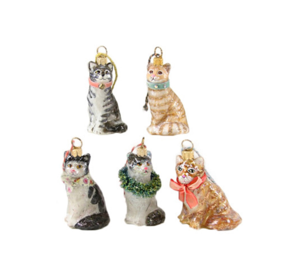 Kitten Holiday Ornament - Yellow with Blue Collar
