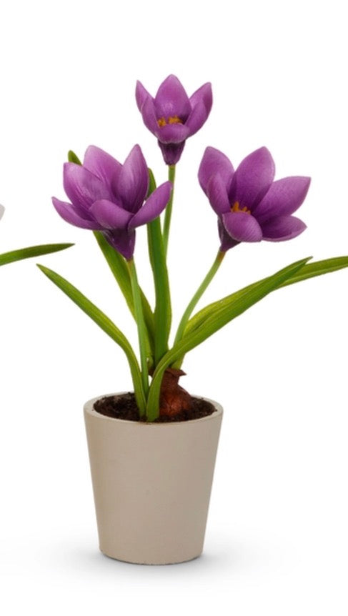 Real Touch Potted Crocus - Purple