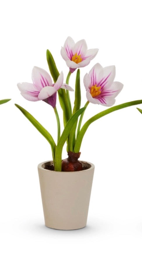 Real Touch Potted Crocus - Pink