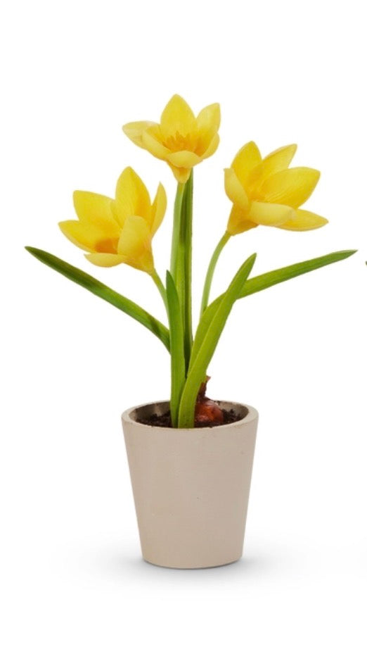 Real Touch Potted Crocus - Yellow
