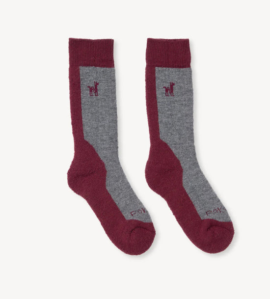 Hiker Socks - Beet