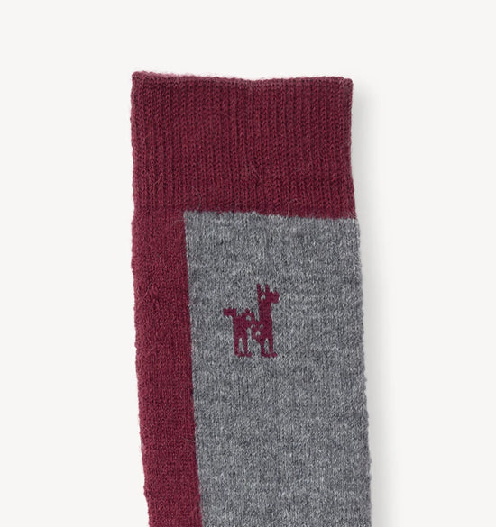 Hiker Socks - Beet