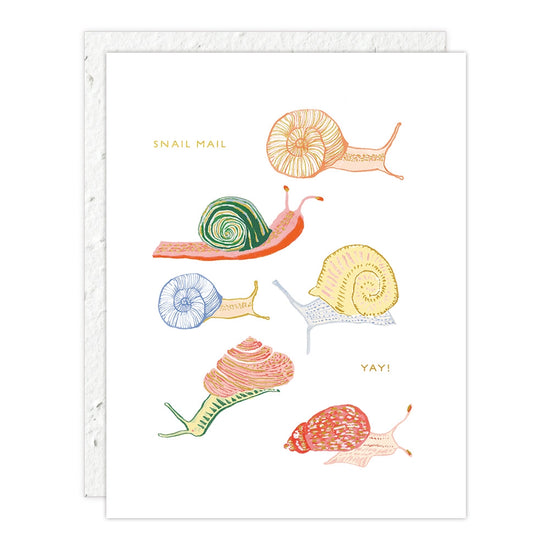 Snails - Just to Say Hi - Friendship Card