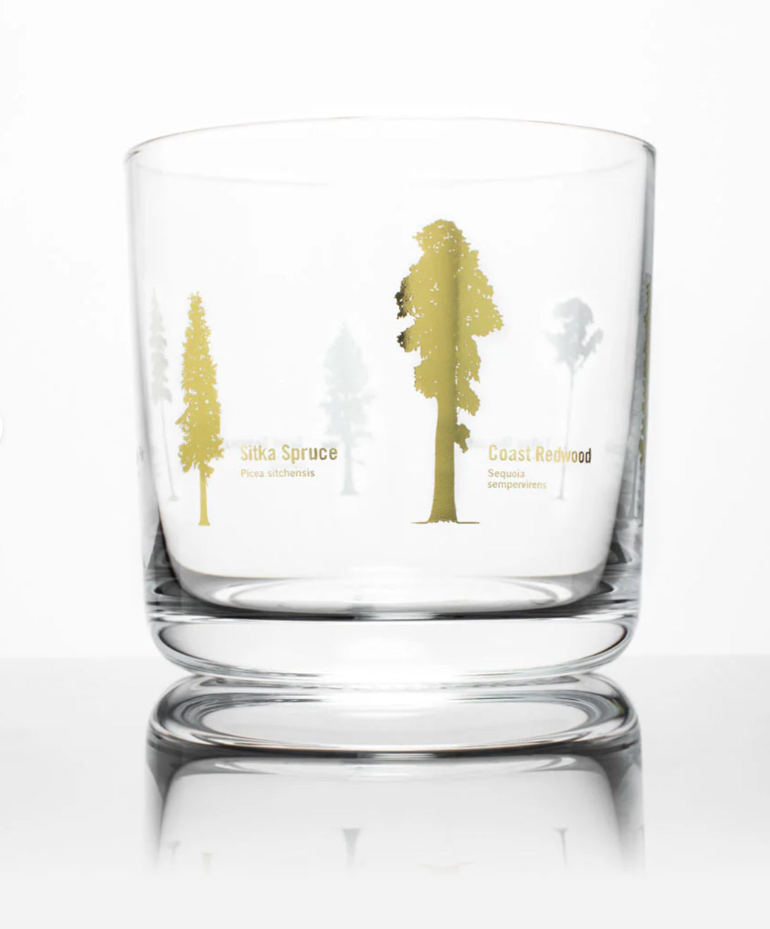 Forest Giants Whiskey Glass