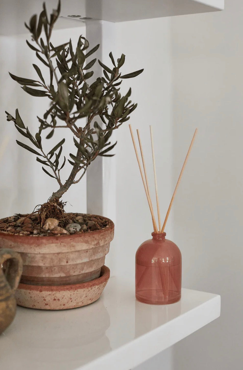 Petite Diffuser - Ruby Red - Grapefruit