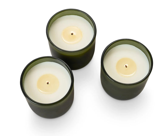 Balsam & Cedar Candle Trio Gift Set