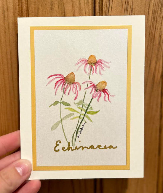 All Occasion Note Card - Echinacea