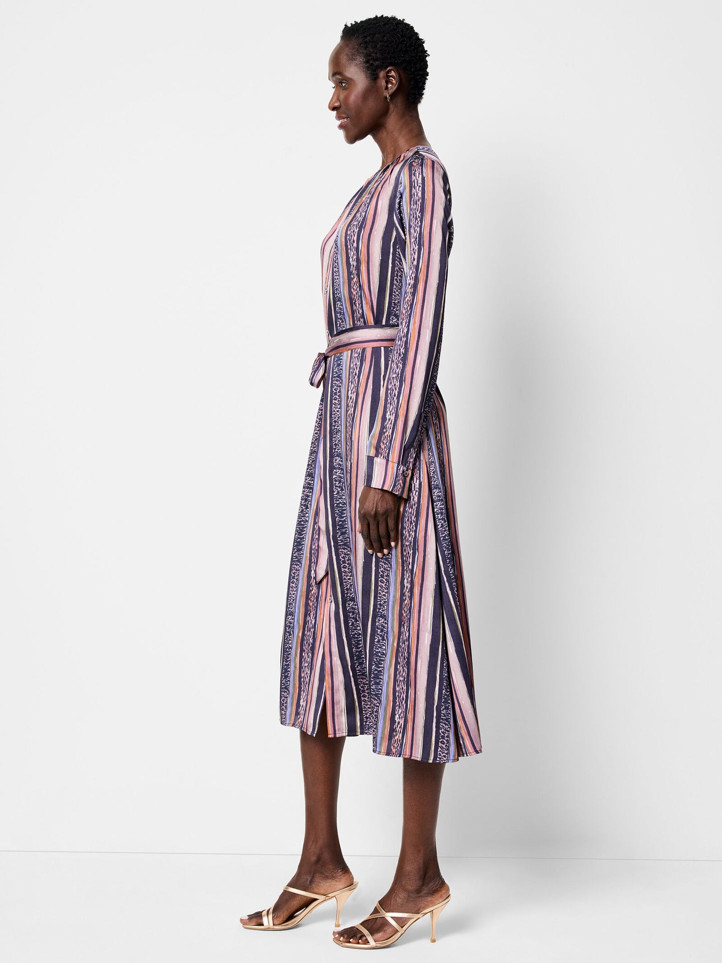 Animal Stripe Loren Dress