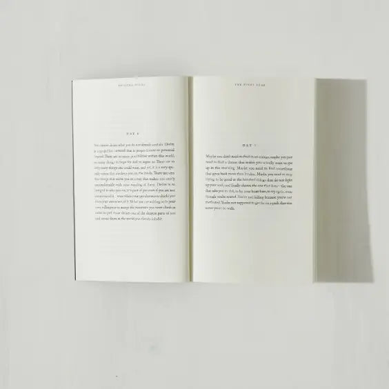 The Pivot Year - Book