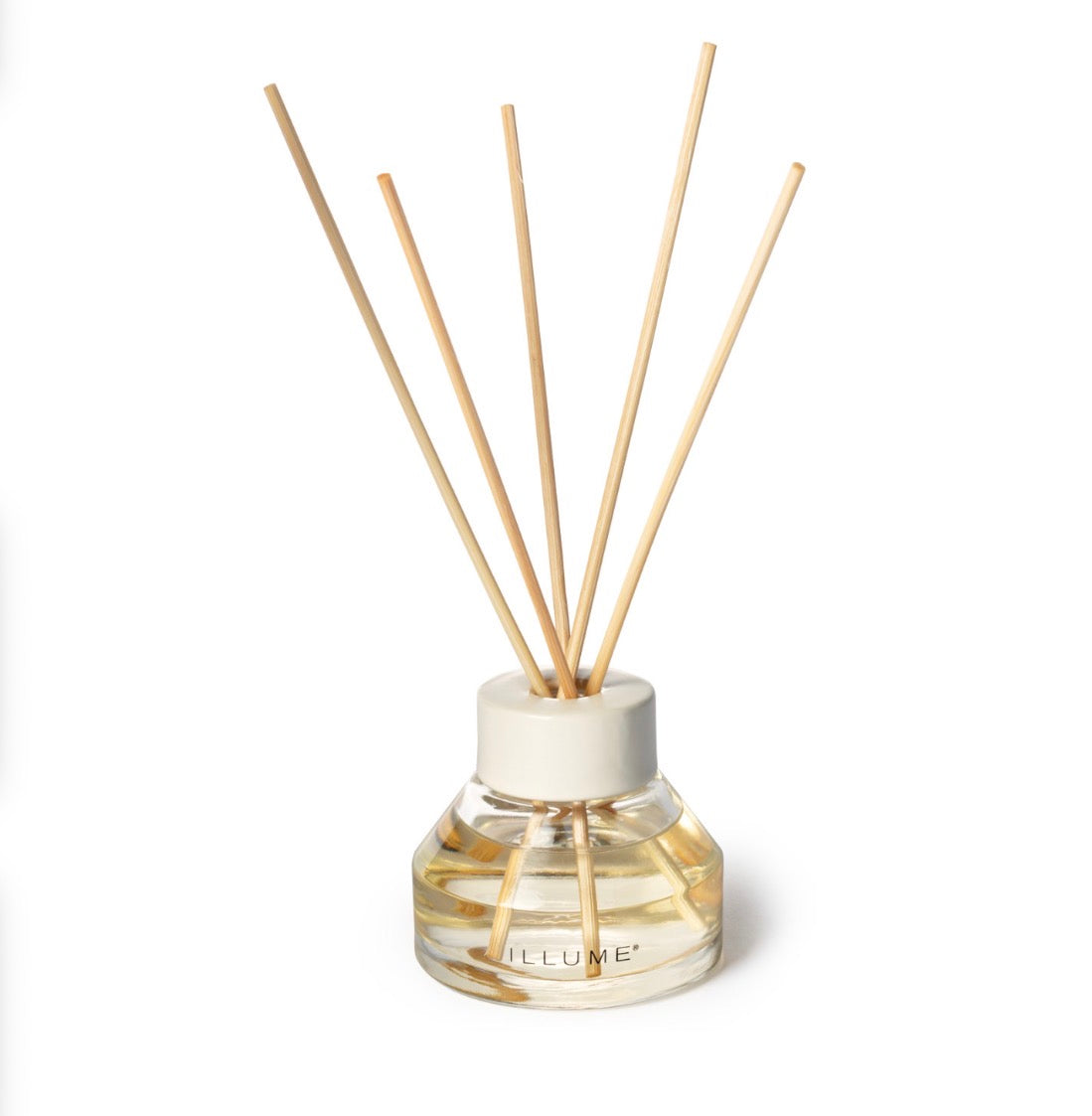 Blackberry Absinthe Aromatic Diffuser