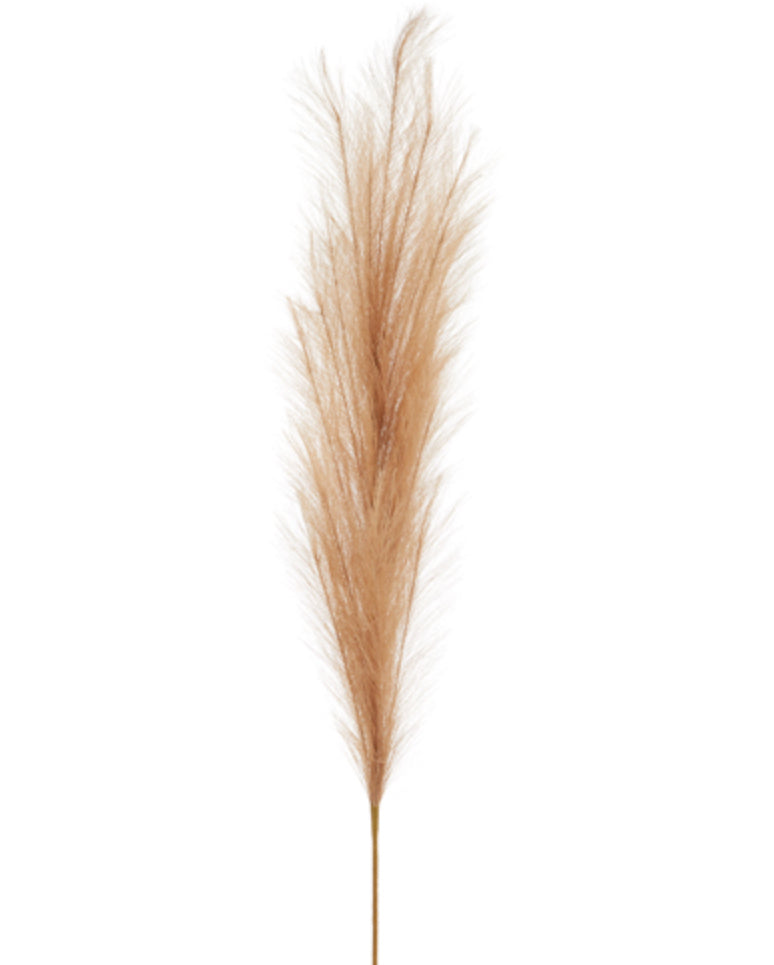 Faux Pampas Grass Stem - Tan