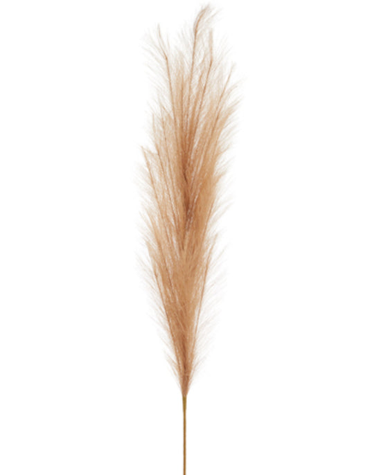 Faux Pampas Grass Stem - Tan