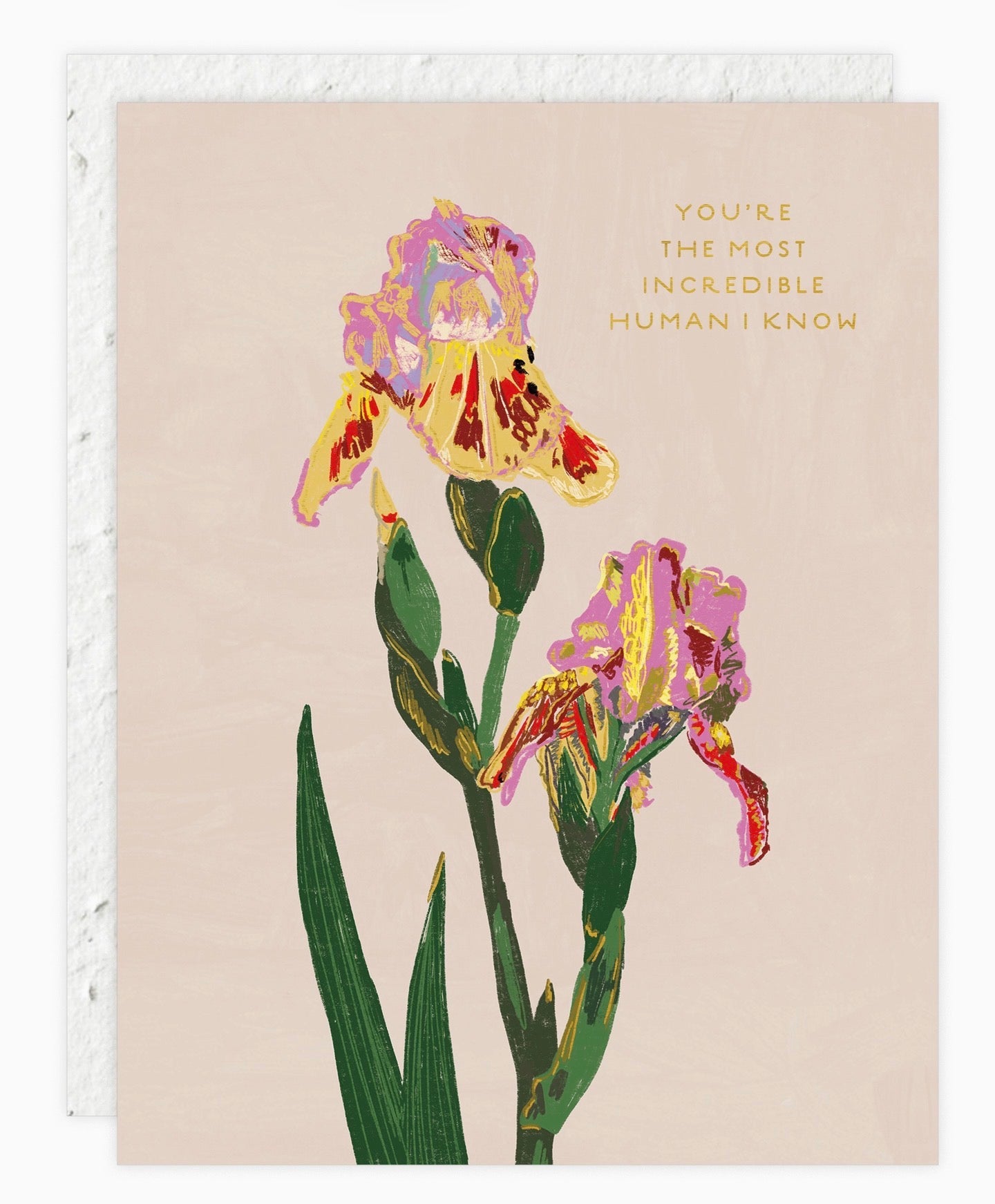 Whimsy Bloom Love & Friendship Greeting Card