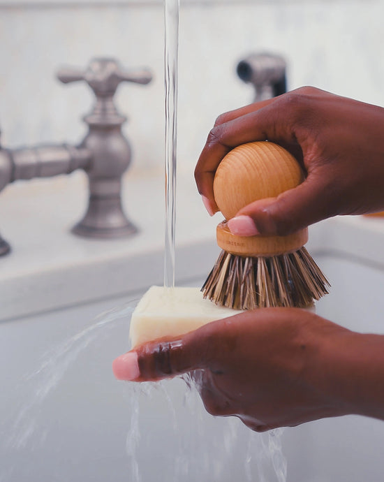 Fragrance Free Dish Bar Soap