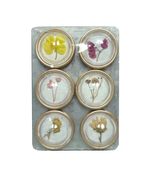 Resin Botanical Magnets on Metal Card - Set of 6