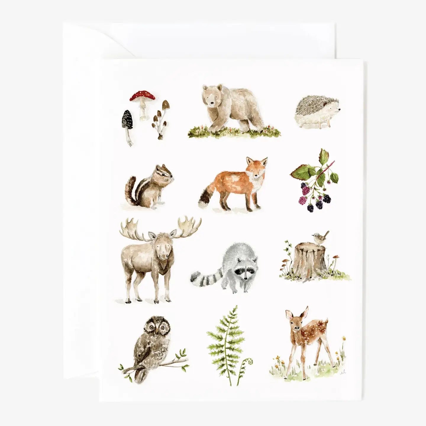 Woodland Animals Notecards - Set of 8