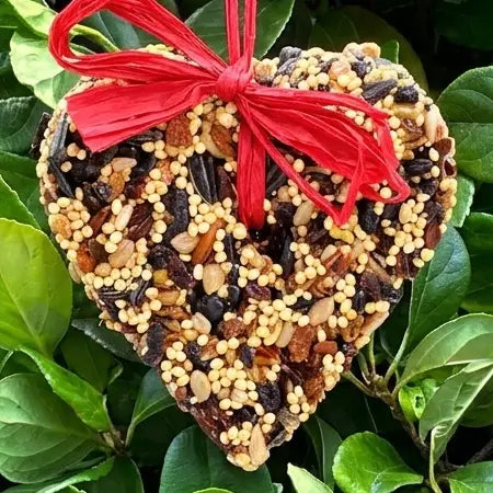 Little Heart Bird Seed Feeder
