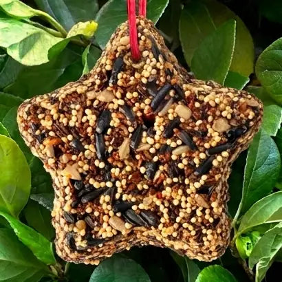 Little Star Bird Seed Feeder