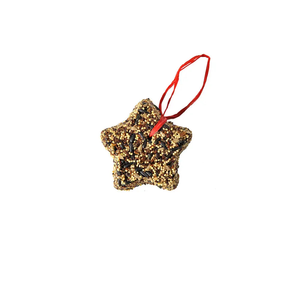Little Star Bird Seed Feeder