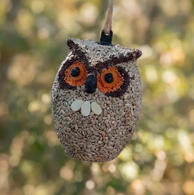 Whoo-lio Owl Bird Seed Feeder
