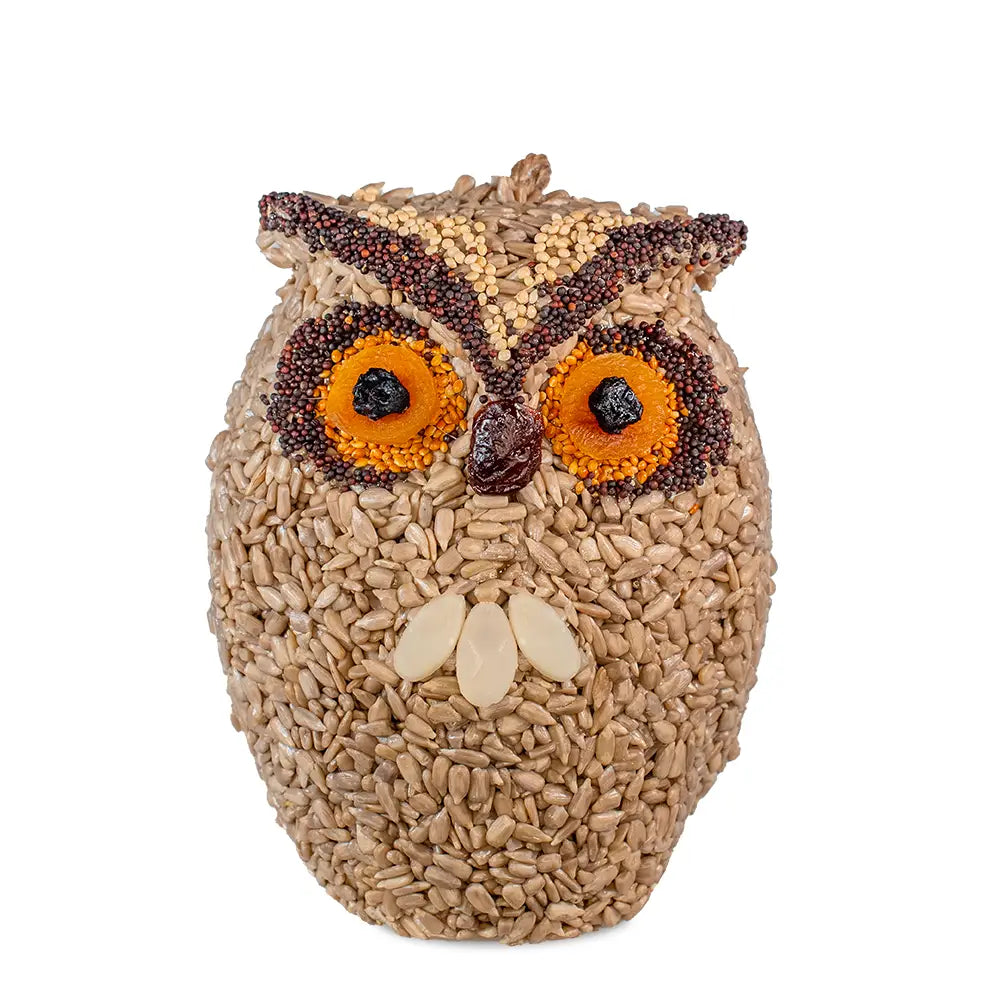 Whoo-lio Owl Bird Seed Feeder